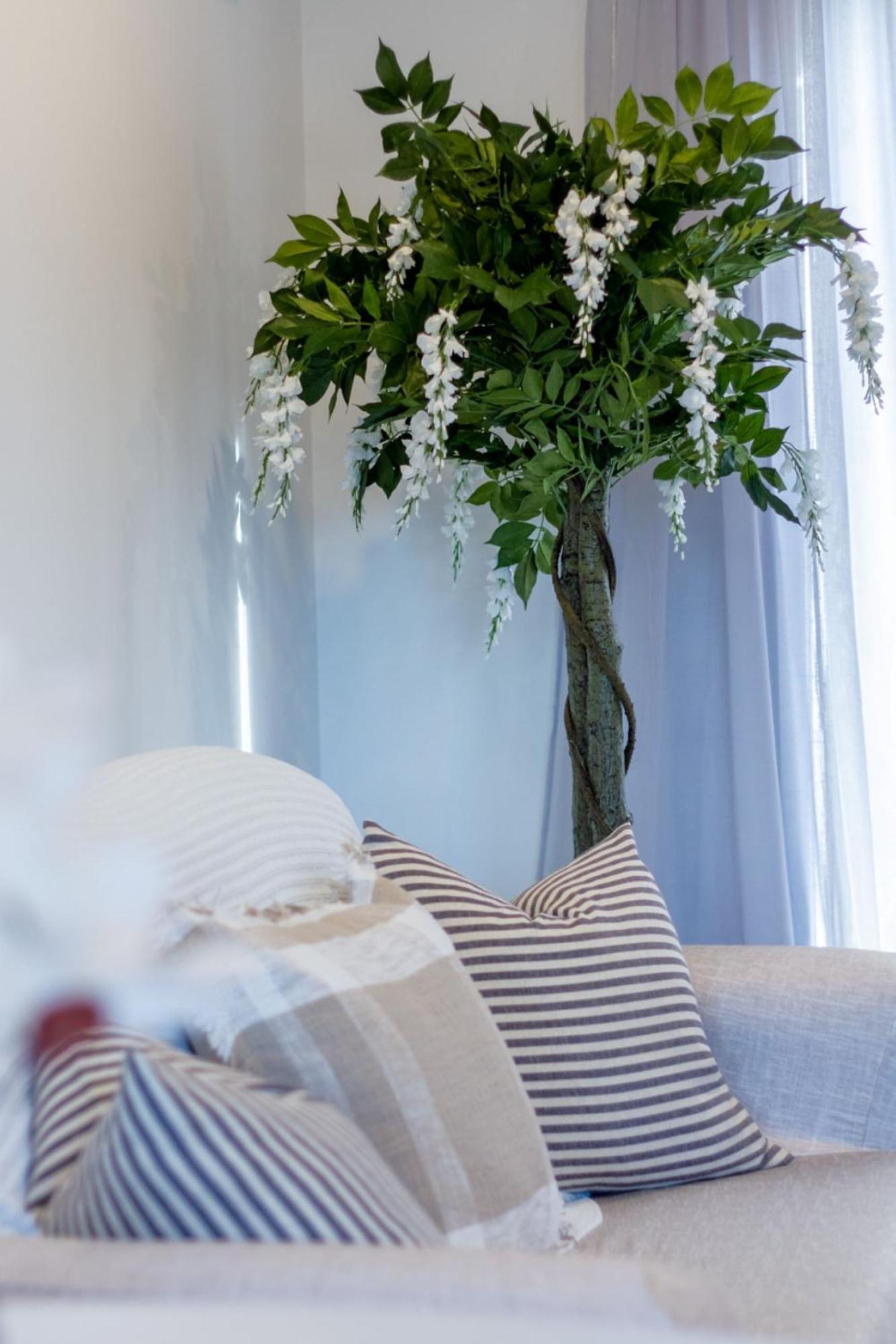Stylish 2-Bedroom Haven Next To Hagley Park Christchurch Exteriér fotografie